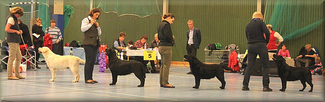 BIS:2 Uppfödaregrupp 4 st champion tikar (A Never Been Kissed, A The Dreamer, A Tartan Girl och A Dream Supreme